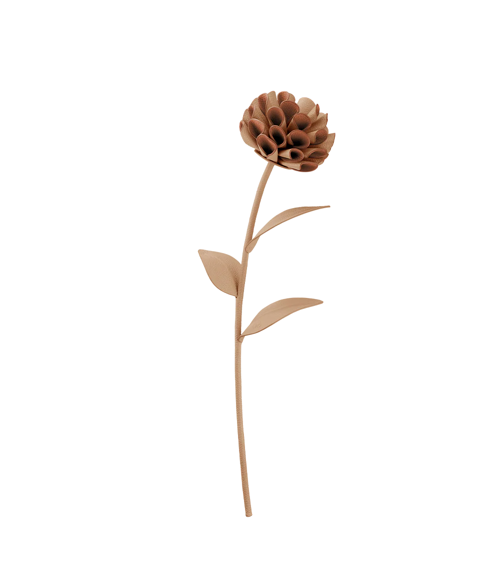 Dalium Flower - Beige