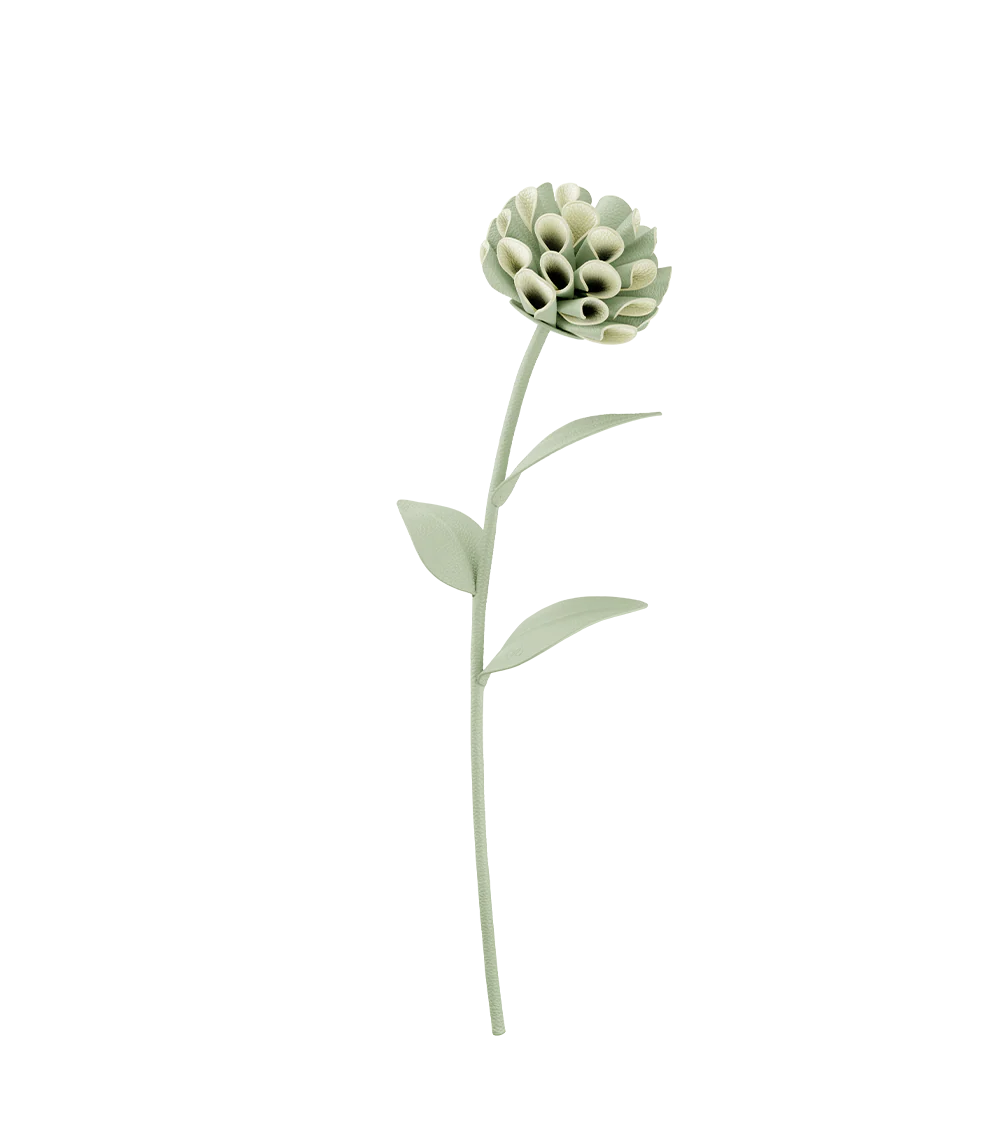 Dalium Flower - Fresh Almond