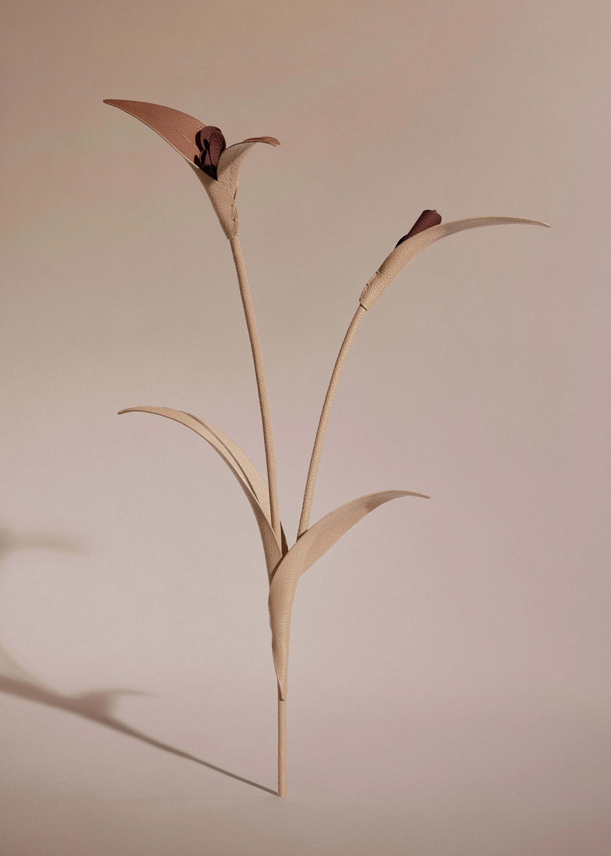 Touka Flower - Beige - Image 2