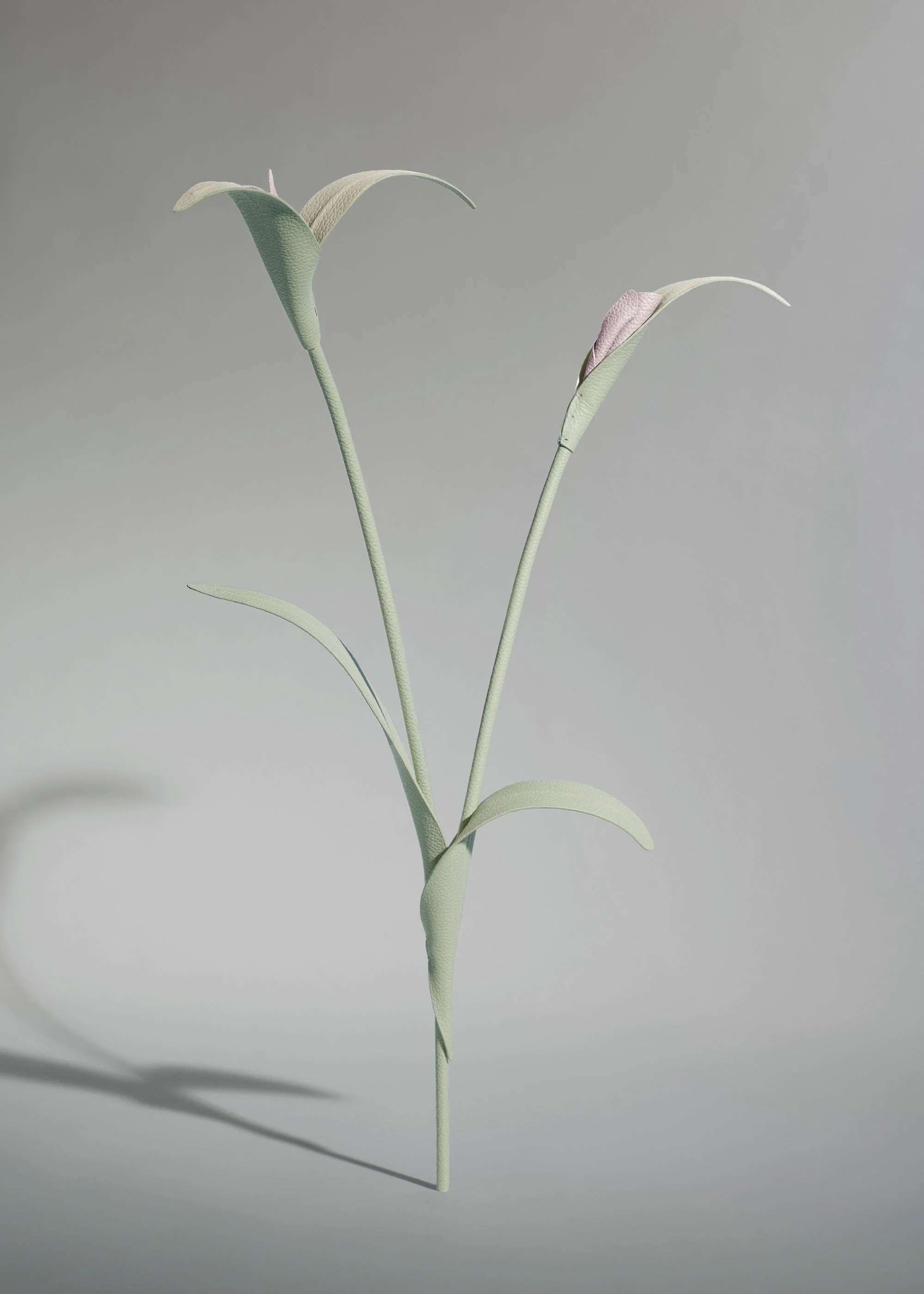 Touka Flower - Fresh Almond - Image 2