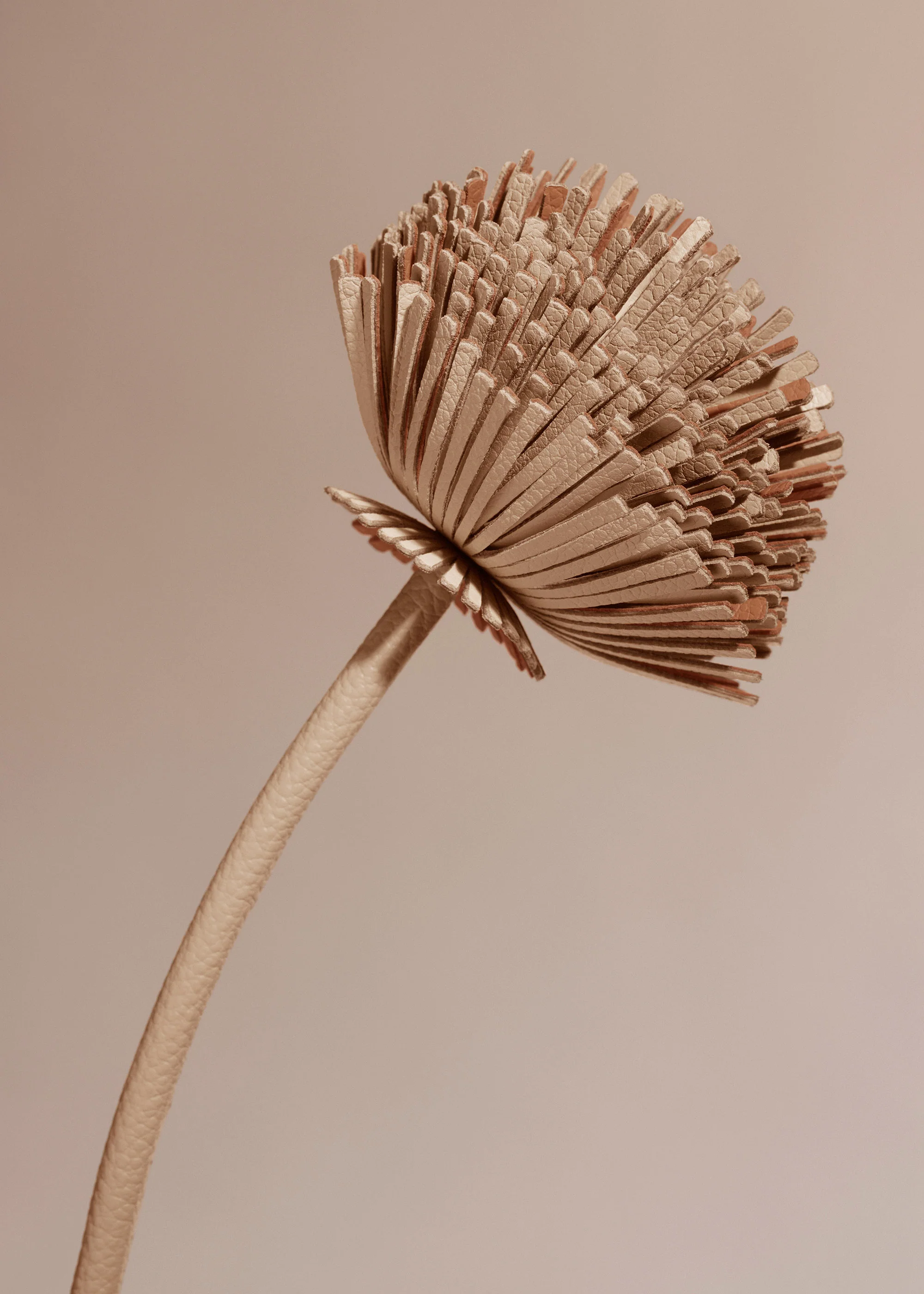 Tul Flower - Beige - Image 3