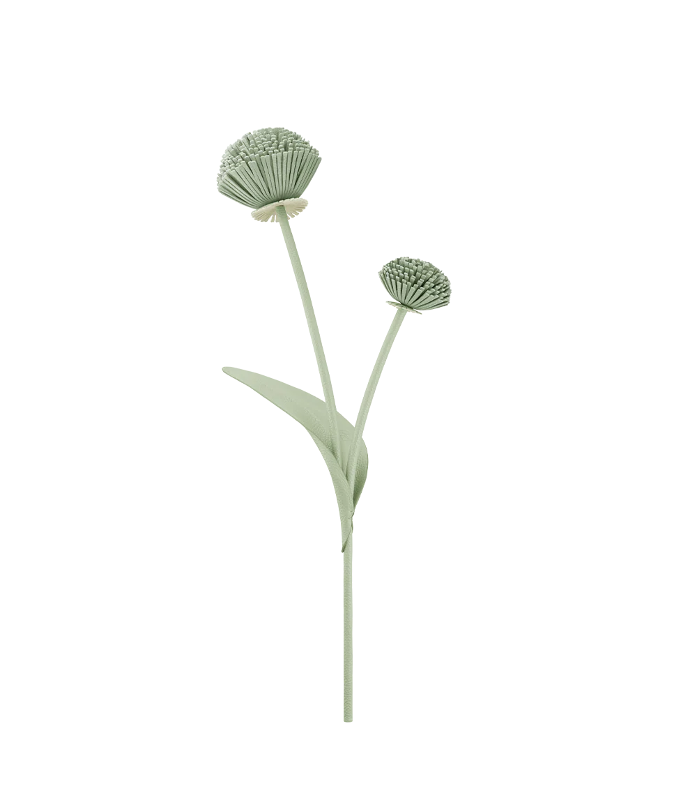 Tul Flower - Fresh Almond